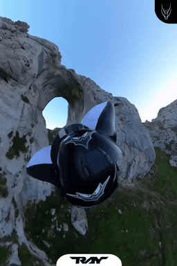 Intrudair Ray Wingsuit 4